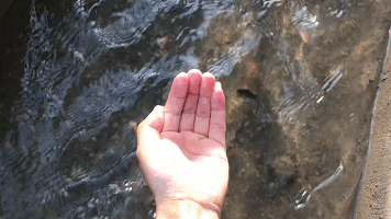 洗砂泥漿處理效果圖